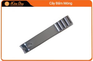 Cây bấn móng