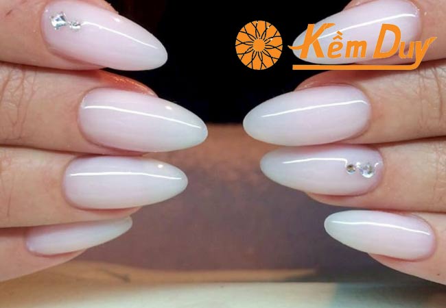 Tông màu off-white